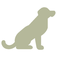 Dogs